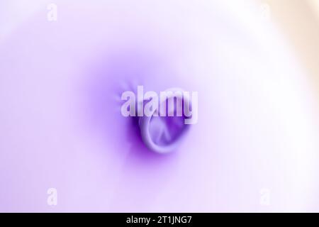 Macro ritratto del nodo nel collo e nel labbro di un palloncino viola. La decorazione festiva e' pronta per essere usata per giocare da bambini o adulti e.. Foto Stock
