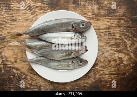 Trachurus trachurus, fresco e crudo, pescato nella Manica in preparazione per la cottura alla griglia. Gli SCAD sono a volte indicati come sgombro di cavallo. Dor Foto Stock