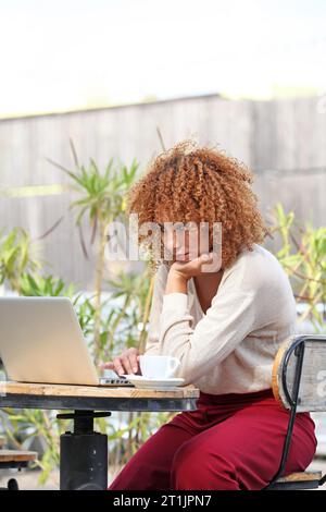 DONNA DAI CAPELLI RICCI CHE LAVORA SU UN NOTEBOOK ALL'APERTO Foto Stock