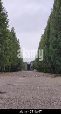 DATA REGISTRAZIONE feature/simbolo NON DICHIARATA: KZ-Gedenkstätte Dachau 07/23 babs Die KZ-Gedenkstätte Dachau im Juli 2023 Deutschland Bayern deutsch deutsches deutsche Geschichte Konzentrationslager KL Nationalsozialismus NS-Zeit Blick vom Appellplatz auf Lagerstraße und Baracken campo di concentramento tedesco Hoch *** Feature Symbol campo di concentramento Memorial Dachau 07 23 babs il campo di concentramento Memorial Dachau nel luglio 2023 germania Baviera Germania Germania storia campo di concentramento KL Nazionalsocialismo NS Vista temporale dall'area di appello alla strada del campo e caserma campo di concentramento tedesco alto Foto Stock