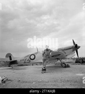 Royal Air Force operazioni in Medio Oriente e Nord Africa, 1939-1943. Squadron Leader M Rook, Comandante della n. 43 Squadron RAF e notare come il più alto servizio pilota nella RAF al momento, pone con la sua nuova Supermarine Spitfire Mark VC, JK101 'FT-Z', a Jemappes, Algeria. Foto Stock