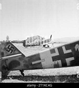 Royal Air Force - L'Italia, i paesi dei Balcani e del sud-est Europa, 1942-1945. Il Supermarine Spitfire Vs Marchio di n. 243 Squadrone RAF vengono sottoposti a manutenzione a Comiso in Sicilia. Fotografato sopra la sezione di coda di un abbandonato Messerschmitt Bf 109g di 6/JG53. Foto Stock