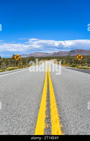 Percorrendo la Diamond Bar Road da Las Vegas al Grand Canyon West, Arizona Foto Stock