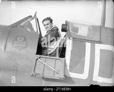 Commonwealth Ace di aria della seconda guerra mondiale il Tenente volo Brendan "Paddy" Finucane DFC, un irlandese che ha volato con la Royal Air Force, seduto nella cabina di pilotaggio del suo Supermarine Spitfire a RAF Kenley mentre si serve con No.452 Squadron RAAF. Foto Stock