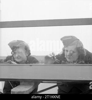 Ragazza Gunners- il lavoro di ausiliari di servizio territoriale in corrispondenza di una stazione sperimentale, Shoeburyness, Essex, Inghilterra, 1943 20 anni privato ATS Eileen Rene e 21 anno vecchio Caporale Susan Bevan al lavoro sulla posizione della finestra Finder presso il Royal Artillery Stazione sperimentale a Shoeburyness. Il vetro della finestra Finder posizione è inciso con una griglia come un foglio di carta millimetrata. Guardando attraverso i telespettatori, le donne mark sulla griglia di partenza la posizione del burst di shell nel cielo, o se la pistola è stato sparato al di sopra del mare, il punto in cui la shell ha colpito l'acqua. La posizione è poi trasferita su carta in Foto Stock