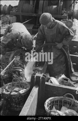 I pescherecci da traino Grimsby - la vita quotidiana con i pescatori, Grimsby, Lincolnshire, Inghilterra, Regno Unito, 1945. Foto Stock