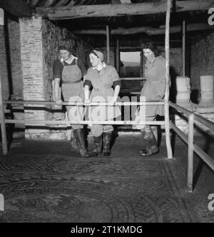 Landgirl's Day - La vita quotidiana e l'agricoltura nel West Sussex, in Inghilterra, Regno Unito, 1944 29 anni ragazza terra Rosalind Cox e due suoi colleghi di esaminare un mosaico romano pavimento piastrellato conservati presso la fattoria su cui essi operano a Bignor, Sussex. La fattoria è di proprietà del signor Tupper. Foto Stock