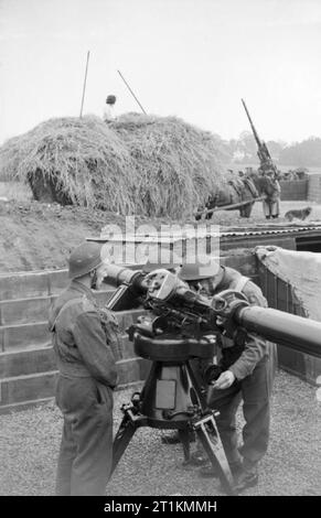 Agricoltura e i militari - La vita quotidiana in campagna, Gran Bretagna, C 1941 una carretta da fieno, guidato dai membri della Donna Terreno esercito, passa da un anti-aerei pistola sito, da qualche parte in Inghilterra. A cavalli carrello fieno è accumulata e la fattoria cane può anche essere visto in background. Foto Stock