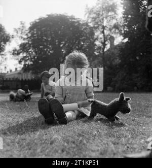 Nursery per le mamme che lavorano- il lavoro della Pietra Focaia Strada Verde vivaio, Birmingham, 1942 Sylvia Rainford (di età compresa tra i 4) si siede sul prato di sera il sole, il suo cane giocattolo sul suo lato, e scrive una lettera al padre, che serve da qualche parte in Medio Oriente. Sylvia vive presso il vivaio mentre sua madre non la notte di lavoro in una fabbrica di munizioni. Foto Stock