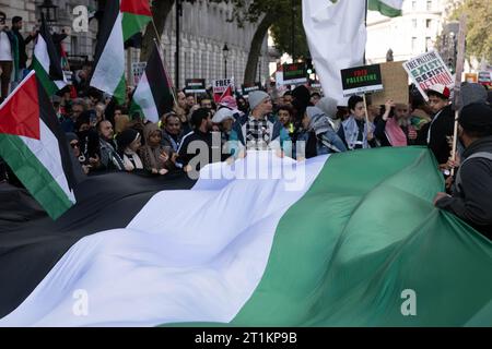 Londra, Regno Unito. 14 ottobre 2023. Protesta di Londra: Migliaia di persone partecipano alla marcia pro-palestinese in mezzo all'escalation della guerra Israele-Hamas bandiera palestinese, credito: Ian Davidson/Alamy Live News Foto Stock