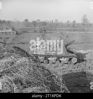 L'esercito britannico in Italia 1944 Sexton 25pdr semovente per la pistola del primo cavallo Royal Artillery, operando come parte del portiere di 'forza' sulla costa Adriatica nei pressi di Ravenna, 1 dicembre 1944. Foto Stock