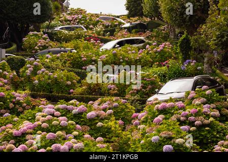 Traffico alla Crooked Lombard Street a San Francisco, California Foto Stock