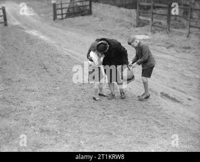 I carradori in tempo di guerra - La vita quotidiana di una famiglia britannica sulla Home Front, Inghilterra, C 1940 Mrs Carter abbracci la figlia Angela sul suo arrivo in Hayward's Heath, Sussex. Suo figlio Michael guarda nella sua borsa, per vedere se ha portato loro qualsiasi presenta! Michael e Angela sono state evacuate a Hayward's Heath e la signora Carter ha viaggiato da London Victoria a visitarli. Foto Stock