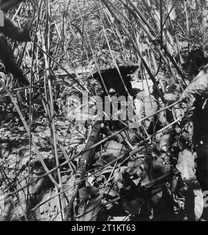 La guerra in Estremo Oriente - la Campagna birmana 1941-1945. Foto Stock