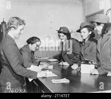 Essi imparano ad essere Lumberjills- Women's Land Army Forestry Training, Culford, Suffolk, 1943. Foto Stock