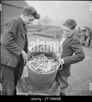 Giardini del villaggio di scolari di alimentazione- la produzione alimentare a Knighton-su-teme, Worcestershire, England, Regno Unito, 1943 Thomas Guy (sinistra) e John Bourne raccogliere bucce di vegetali e di altri scarti da sinistra il pasto di mezzogiorno presso la scuola del villaggio di Knighton-su-teme. Tutti gli ortaggi mangiato presso la scuola sono stati forniti dal villaggio locale di produrre l'Associazione. Raccogliendo gli scarti per suini, nessuno degli ortaggi vengono sprecati. Foto Stock