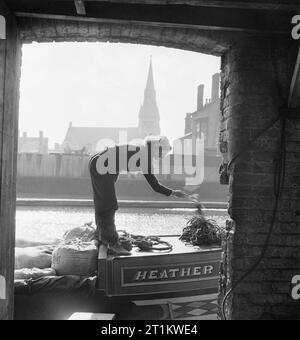 Le donne correre una barca- La vita a bordo della chiatta sul canale "heather Bell', 1942 All'arrivo presso il magazzino in cui la chiatta viene ad essere scaricate, Miss marzo richiudersi il top le stringhe che hanno mantenuto i panni vicino la farina in posizione durante il transito. Foto Stock