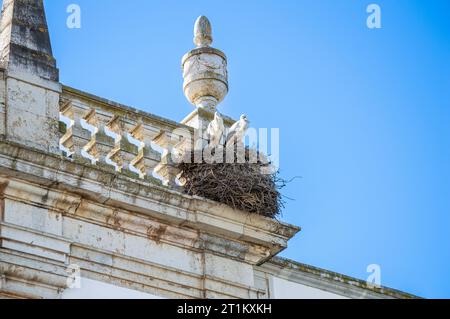 FARO, PORTOGALLO - 1 MARZO 2023: Passeggiata nel centro storico di Faro, Portogallo, 1 marzo 2023 Foto Stock