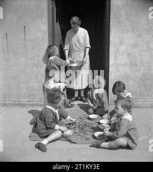 Un modello di scuola dell'infanzia- il lavoro della terra Tarner scuola materna, Brighton, Sussex England, Regno Unito, 1944 bambini Sgusciate i piselli in aria aperta al di fuori della Terra Tarner scuola materna in Brighton. Essi stanno contribuendo a preparare le verdure per la loro scuola la cena. Foto Stock