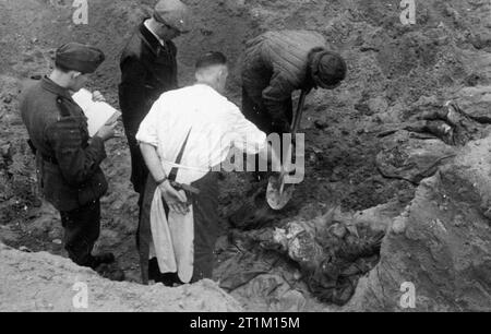 Il massacro di Katyn, 1940 Uno dei medici internazionali i membri della Commissione di dare istruzioni a un lavoratore di scavare fuori i corpi di ufficiali polacchi. Foto Stock