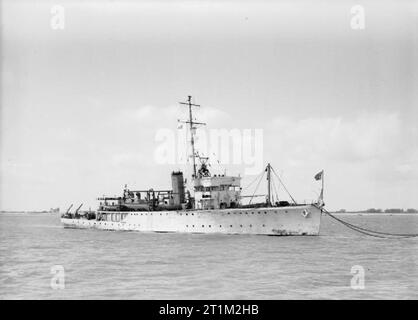 Dragamine britannici classe Halcyon HMS Seagull. Foto Stock