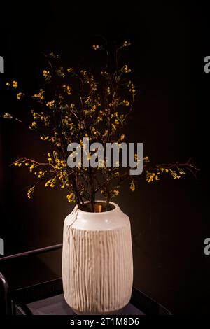 fiori gialli secchi in un vaso chiaro su sfondo scuro. elementi all'interno Foto Stock
