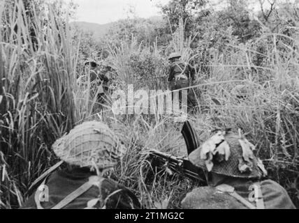 La guerra in Estremo Oriente- la Birmania campagna 1941-1945 la battaglia di Imphal-Kohima Marzo - Luglio 1944: Soldati britannici attraverso la ricerca di erba lunga per il giapponese cecchini mentre coperta da una pistola Bren team. Foto Stock