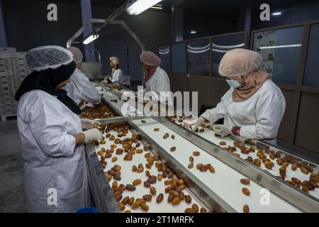 Mezguita, Marocco. 14 ottobre 2023. Immagine scattata durante una visita all'unità di imballaggio "Groupement d'Interet Economique" GIE, a Mezguita, nell'ambito di una visita di lavoro del ministro dello sviluppo in Marocco, sabato 14 ottobre 2023. BELGA PHOTO JONAS ROOSENS Credit: Belga News Agency/Alamy Live News Foto Stock