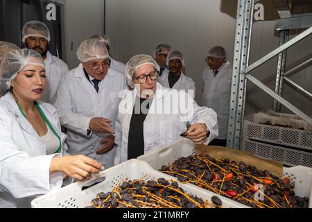 Mezguita, Marocco. 14 ottobre 2023. Il ministro della cooperazione allo sviluppo e della politica metropolitana Caroline Gennez (C) è raffigurato durante una visita all'unità di imballaggio "Groupement d'Interet Economique" GIE, a Mezguita, nell'ambito di una visita di lavoro del ministro dello sviluppo in Marocco, sabato 14 ottobre 2023. BELGA PHOTO JONAS ROOSENS Credit: Belga News Agency/Alamy Live News Foto Stock