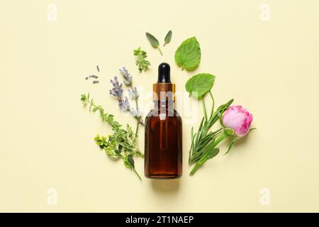 Bottiglia di olio essenziale, erbe diverse e fiori di rosa su sfondo beige, giacenza piatta Foto Stock