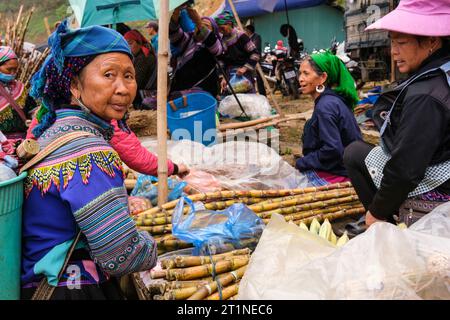 CAN Cau Saturday Market, Hmong Woman Buyiong Sugar Cane. Provincia di Lao Cai, Vietnam. Foto Stock