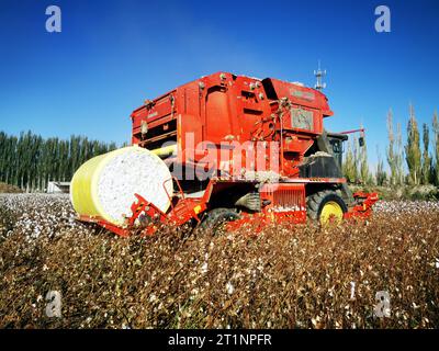 AKSU, CINA - 15 OTTOBRE 2023 - Un agricoltore guida una raccoglitrice di cotone per raccogliere cotone in un campo nella città di Aksu, nella regione autonoma di Xinjiang Uygur, Cina, O. Foto Stock