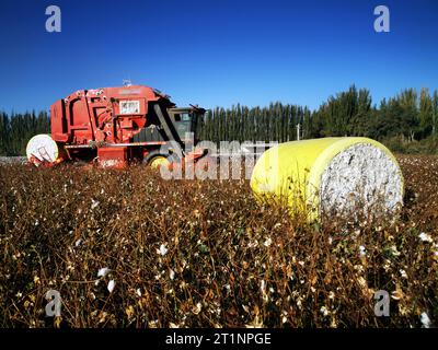 AKSU, CINA - 15 OTTOBRE 2023 - Un agricoltore guida una raccoglitrice di cotone per raccogliere cotone in un campo nella città di Aksu, nella regione autonoma di Xinjiang Uygur, Cina, O. Foto Stock