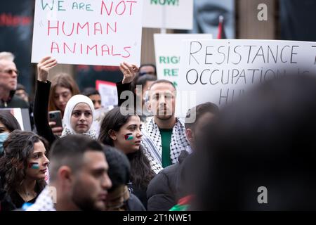 Melbourne, Australia, 15 ottobre 2023. Un gran numero di manifestanti è visto tenere in mano striscioni durante il raduno pro Palestina presso la Biblioteca di Stato alla Biblioteca di Stato il 15 ottobre 2023 a Melbourne, in Australia. Crediti: Dave Hewison/Speed Media/Alamy Live News Foto Stock