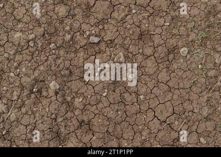 Sfondo di un terreno asciutto e incrinato su una strada sterrata polverosa, sfondo naturale Foto Stock