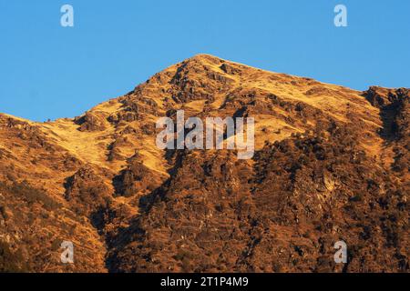 Paesaggio Himalaya. Bassa pendenza secca dell'Himalaya. Esultate l'habitat del Pheaseant. Foto Stock