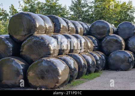 Balle di fieno ricoperte di pellicola di plastica nera Foto Stock