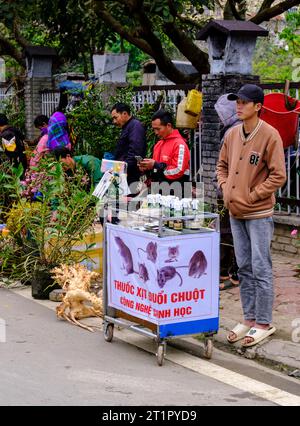 BAC ha, Vietnam. Fornitore di mercato che vende Rat Poison. Provincia di Lao Cai. Foto Stock