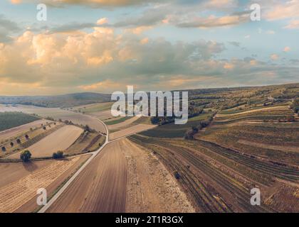 Campi di vigneti colorati dall'alto durante il tramonto in autunno. Vista sui terreni agricoli della regione austriaca di Weinviertel. Foto Stock