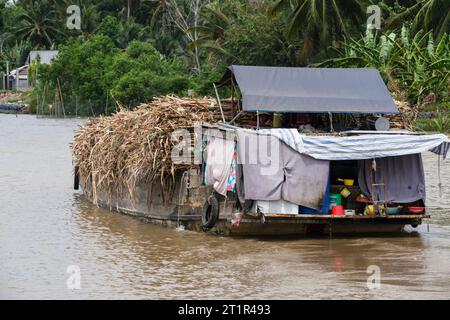 Piccola barca che trasporta canna da zucchero sul fiume Mekong, Vietnam. Foto Stock