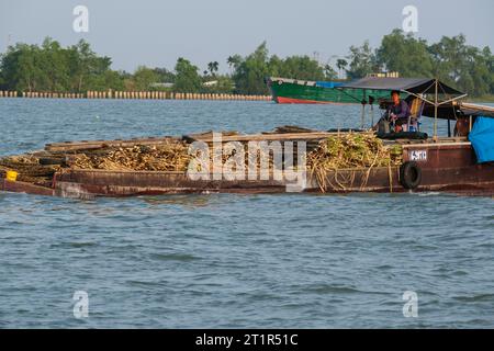 Trasporto di canna da zucchero sul fiume Mekong, Vietnam. Foto Stock