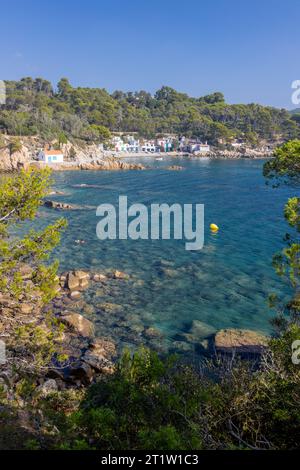 Vista della baia Di S'Alguer a Palamos, Costa Brava, Girona. Spagna Foto Stock