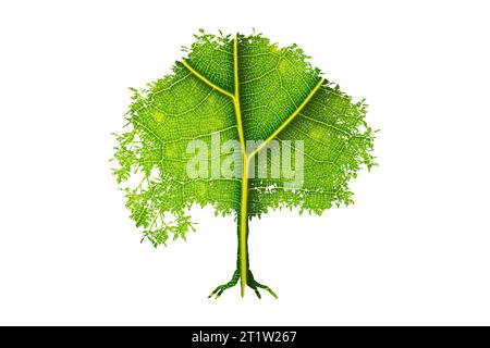 Il concetto di icona albero di un albero stilizzato con foglie si presta ad essere utilizzato con il testo. Foto Stock
