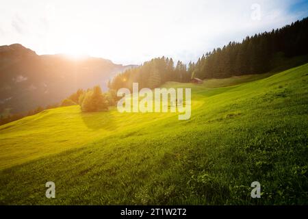 Viste fantastiche del luogo magico alla luce del sole. Pittoresca e splendida scena mattutina. Posizione Place Swiss alp, valle Lauterbrunnen, Ober bernese Foto Stock