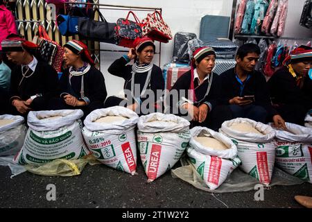 Donne etniche Tay che vendono riso al mercato di Dong Van, ha Giang, Vietnam Foto Stock