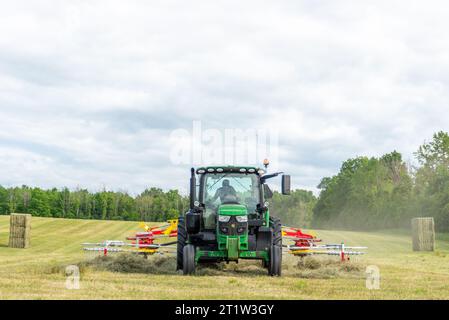 Raking Hay. Ontario County. Canandaigua, New York USA. Foto Stock