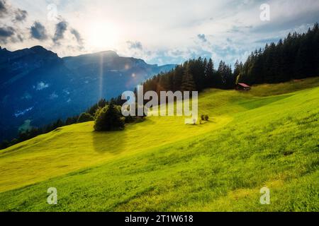 Viste fantastiche del luogo magico alla luce del sole. Pittoresca e splendida scena mattutina. Posizione Place Swiss alp, valle Lauterbrunnen, Ober bernese Foto Stock