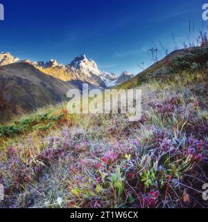 Fantastiche vette innevate del Monte Ushba alla luce del mattino. Scena drammatica e pittoresca. Location Place Svaneti, Mestia, Georgia, Europa. Alto Caucaso Foto Stock