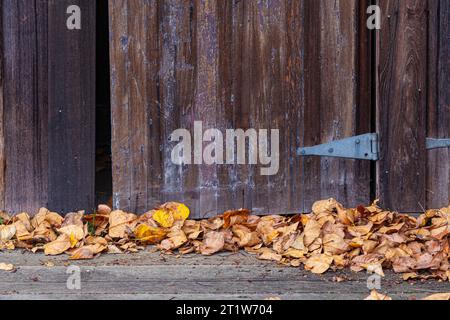 Immagine astratta di una vecchia porta di legno con foglie cadute a Steveston, British Columbia, Canada Foto Stock