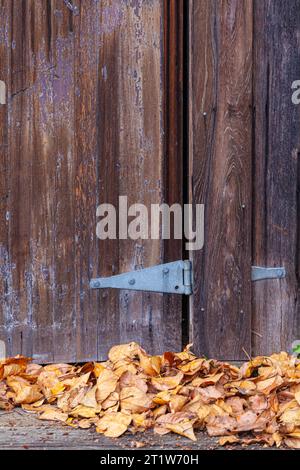 Immagine astratta di una vecchia porta di legno con foglie cadute a Steveston, British Columbia, Canada Foto Stock